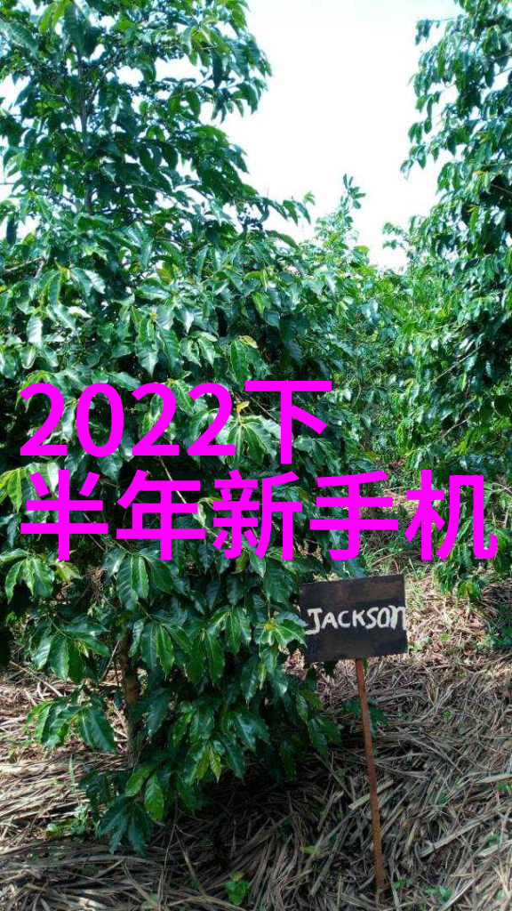 水产养殖测水质仪器确保健康的养殖环境