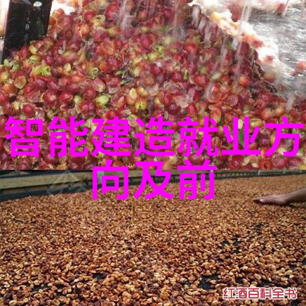 管道中的化学梦想化工管件的双重生活