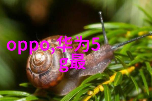 老师你的身影为什么这么大