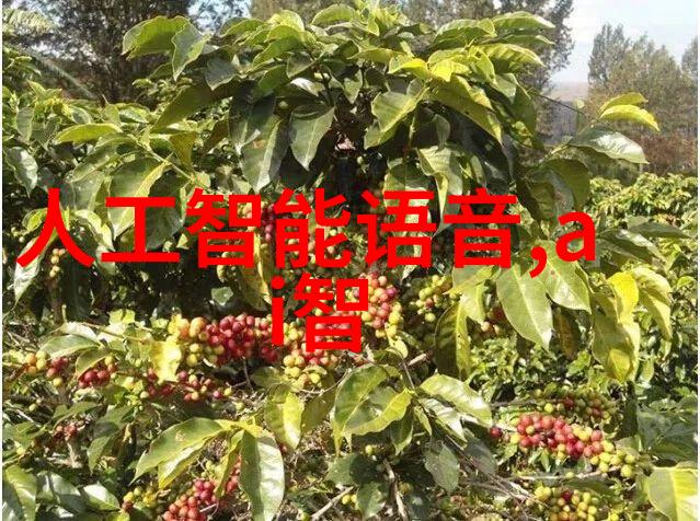 垃圾油水分离器环境保护的智慧工具