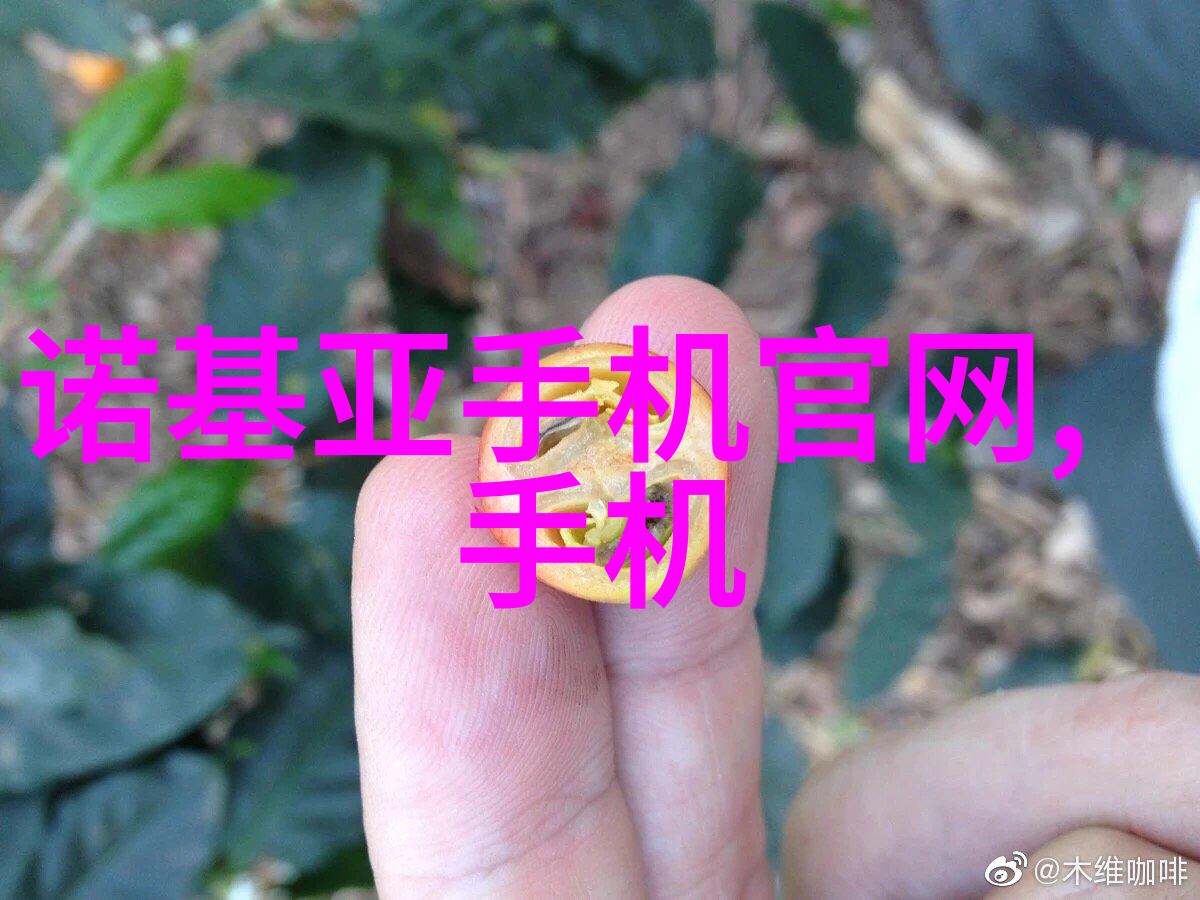 北京律师法律之城的守护者与倡导者
