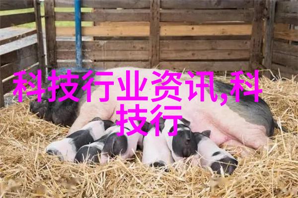 在设计实验室布局时应当考虑到回flow系统占用的空间大小吗