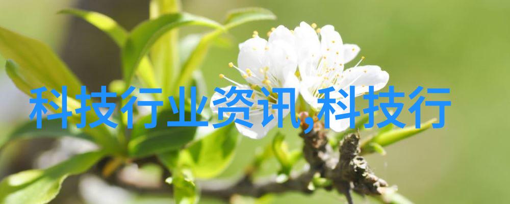 落拓小娘子逆袭之旅