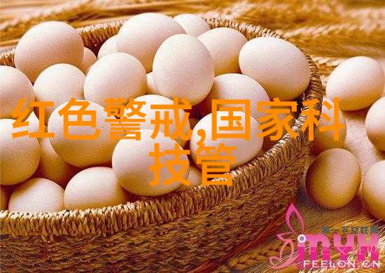输送设备制造生产厂家-高效智能化新时代输送设备制造业的发展趋势