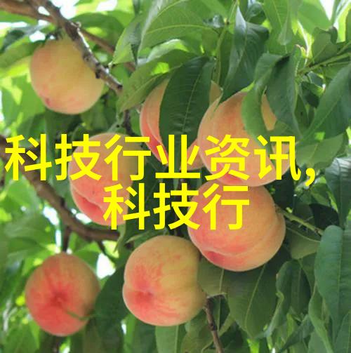 陕西财经职业技术学院-春风化雨陕西财经职业技术学院的教育成就与未来展望