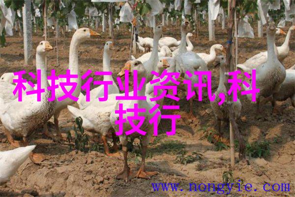 密封件设备在化工行业中的应用有哪些关键优势
