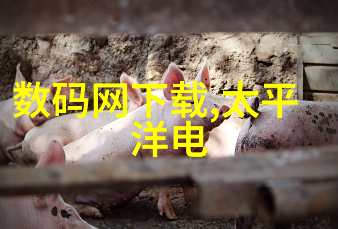 读书报告我的阅读小结从一页到另一页的故事
