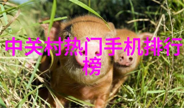 化工机械从工业巨兽到环保先锋的逆袭