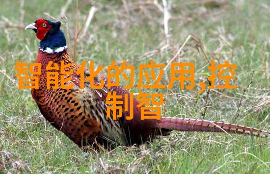 什么是填料塔-探索建筑奇迹填料塔的构造与功能