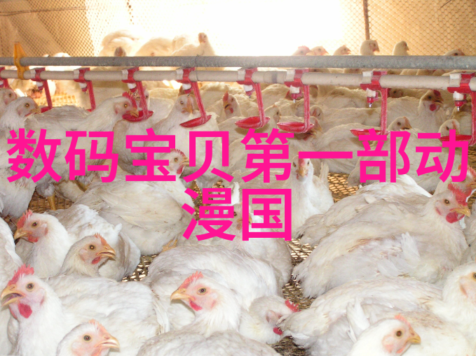 冰点追求冷凝机组的热力奇迹