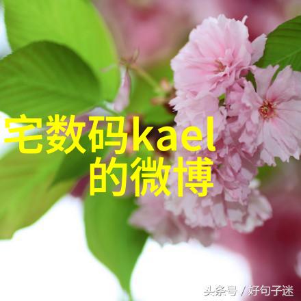 清洁之心守护健康医用消毒灭菌的奥秘与实践