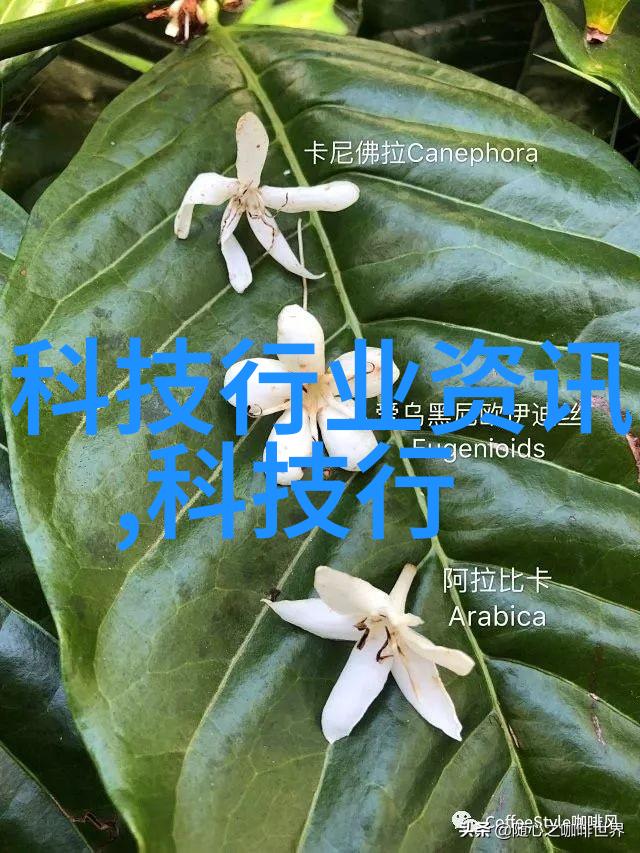 汽车零部件大解析从引擎到刹车详图全解每个关键部件的作用与功能