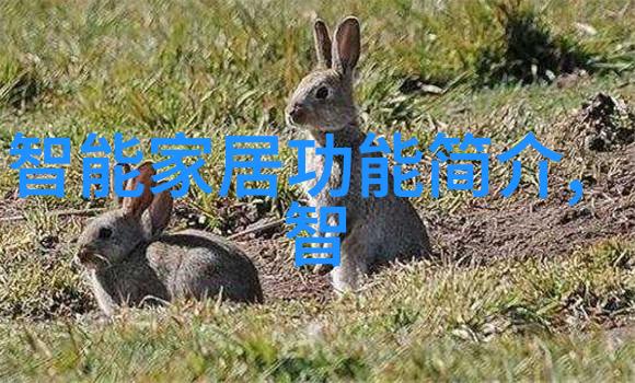 亚克力制品高强度耐磨的现代家居装饰