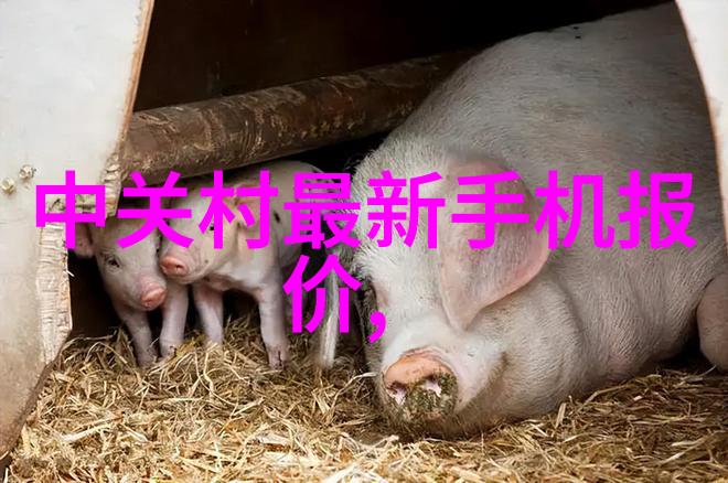 机器的守护者带式干燥机的秘密使命