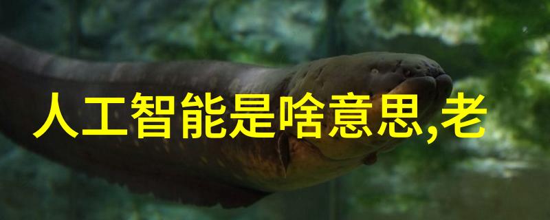 全能大全App下载神器汅API免费解锁安卓世界