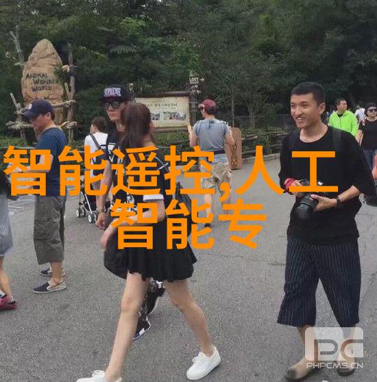 住宅室内装饰装修管理办法中如何平衡业主的审美追求与施工团队的专业要求