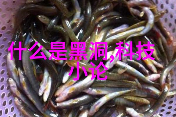 广东水利电力职业技术学院潮汕智源的电流之光