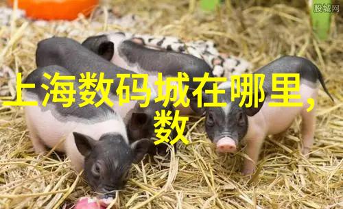 化工丸剂机械的秘密旋转中隐藏的危机