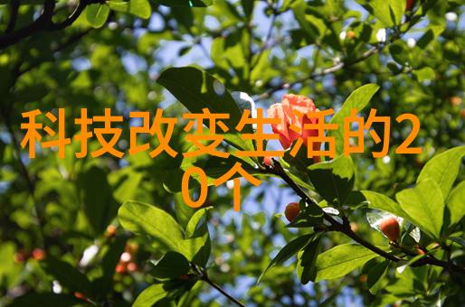 管道选择的智慧PVC与PPR之争