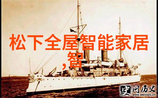 病式精神病深度探究心理健康的阴暗面