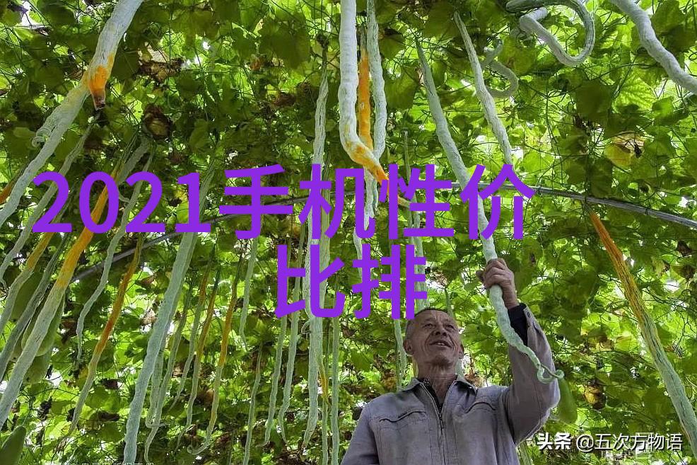 清泉自流未来城市的智慧饮水系统