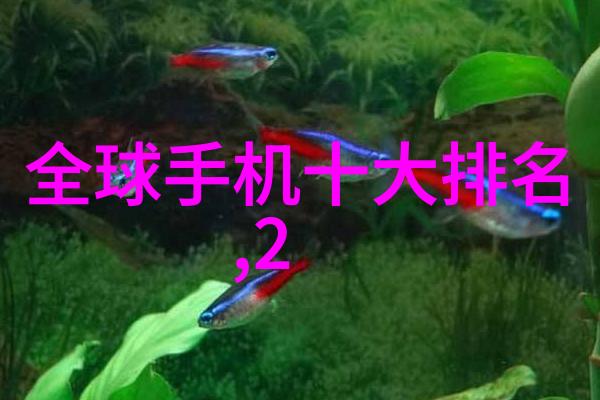 05eee音乐会05eee热情的现场音乐会