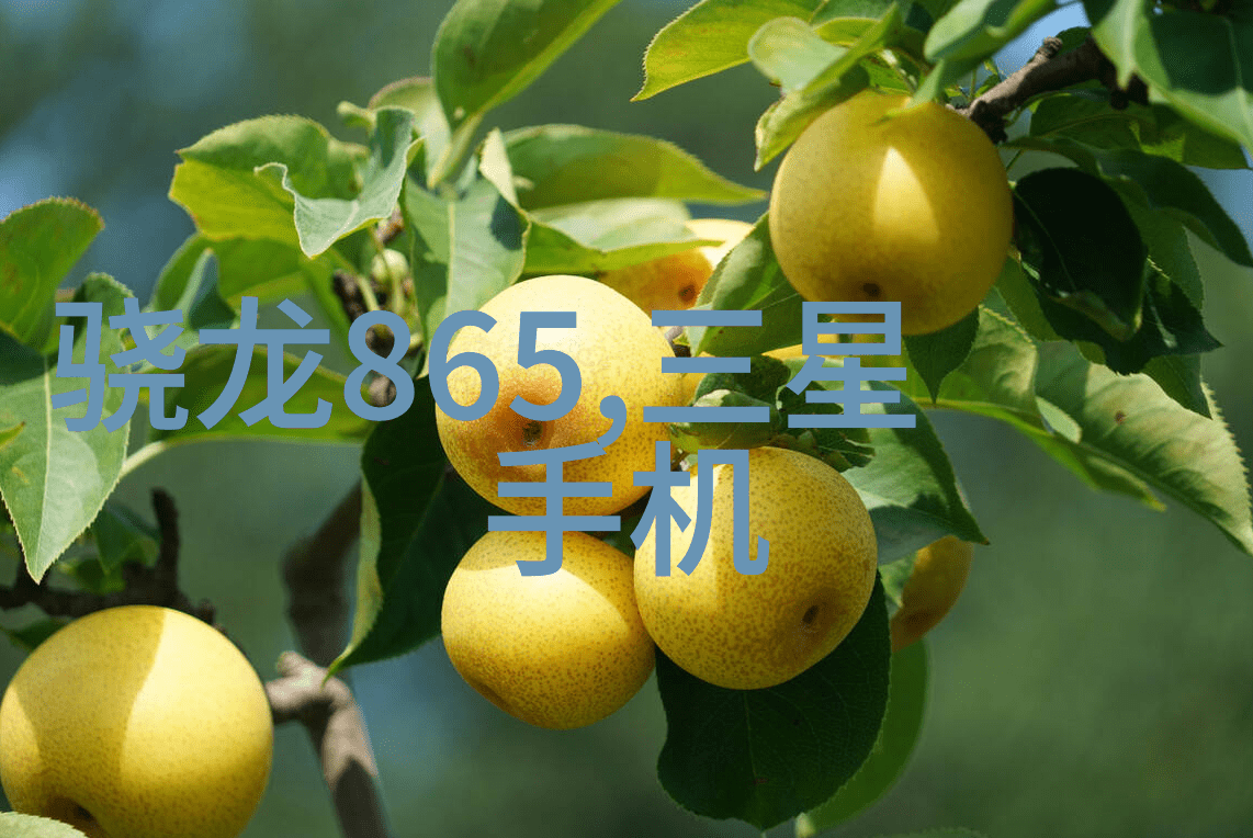 化学反应器内部构件精密设计的混合和催化装置