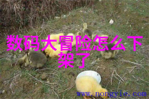 小型医疗污水处理系统高效节能的环保解决方案