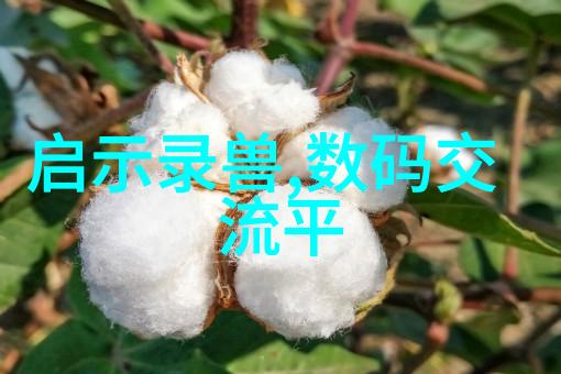 智能摄像头它们是如何通过机器学习提升安全监控效果的