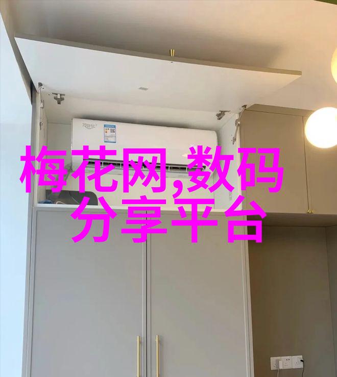 社会实践报告社区环境改善项目实施与效果评估