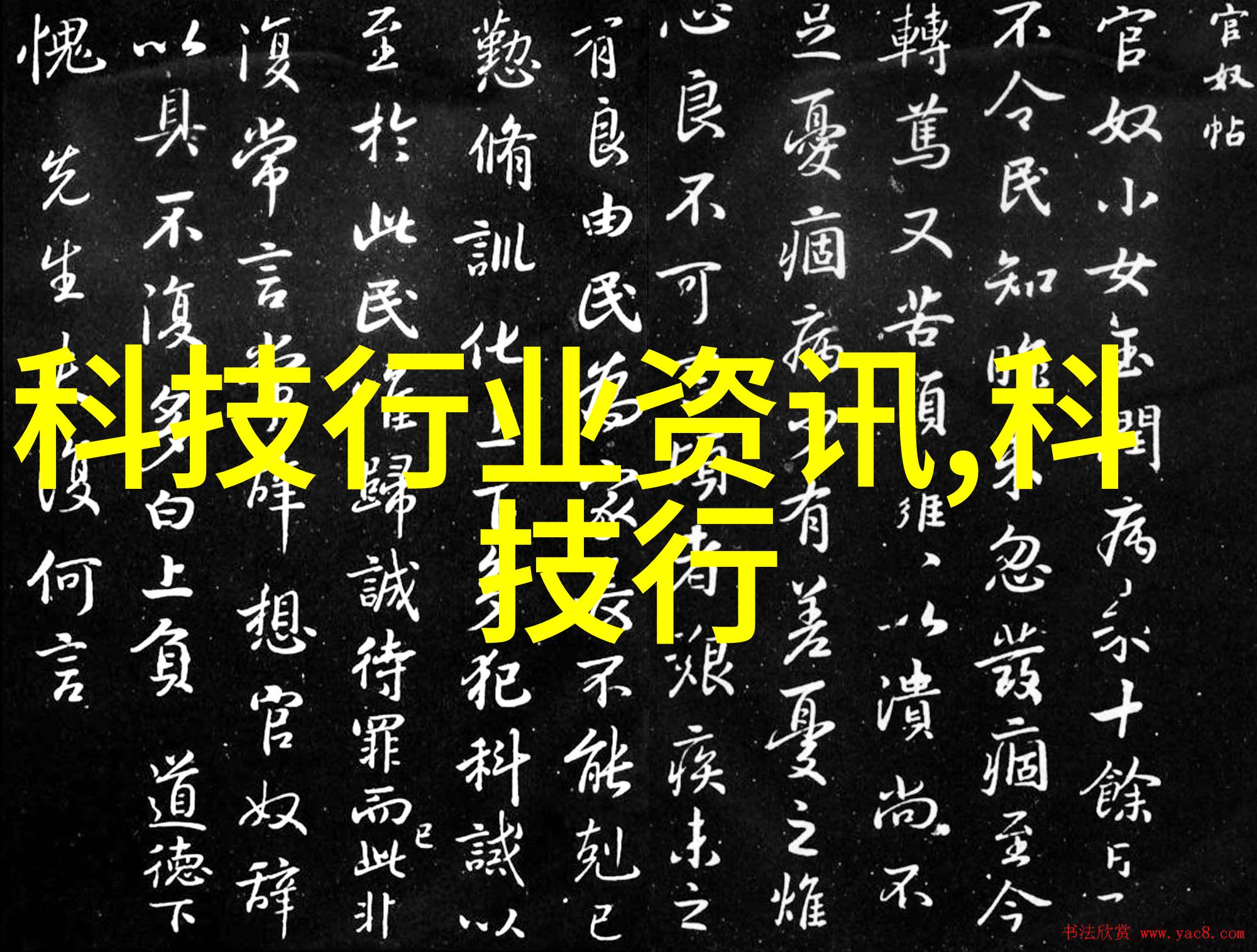 运动健身家园为运动爱好者打造理想的健身区域