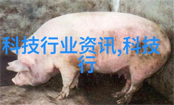 家居美学创意卧室设计引领生活品质新篇章