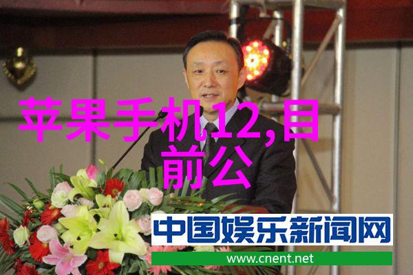 窗户遮阳技巧如何正确选用窗帘拉杆与滑轮