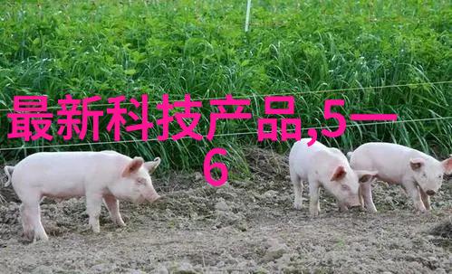 附近不锈钢加工高精度铣削服务