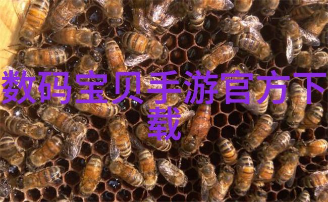 零件的精确界定构建复杂系统的基石