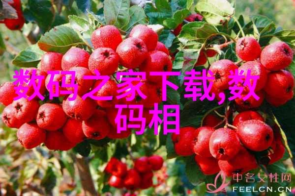 长期使用316不锈钢的潜在危害探究