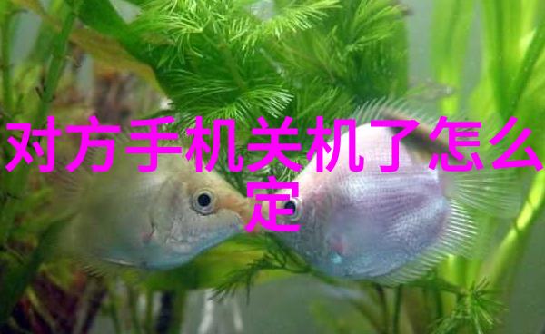 输送带接头设备物流链条上的巧妙连接者