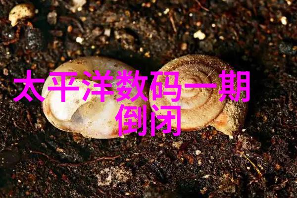 当代工业中固定床反响器的创新发展趋势探讨