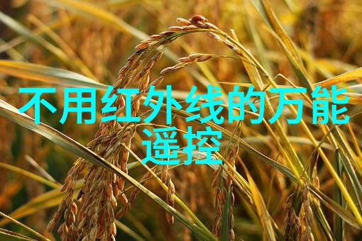 基础工程-深入浅出冲孔灌注桩的安装工艺与应用