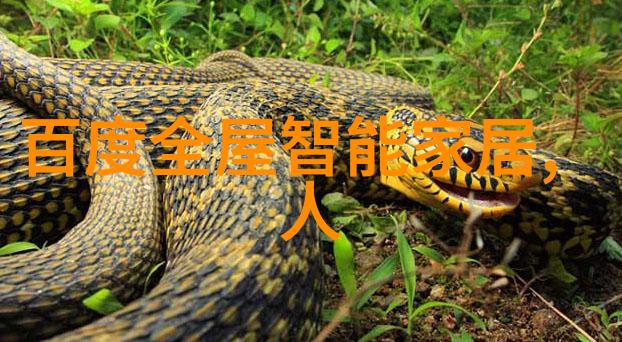 从报价到施工如何跟踪和监督100平米水电装修进度