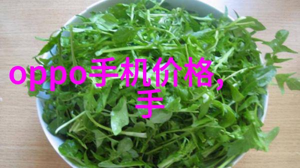 画卷中的秘密镜中花影的故事