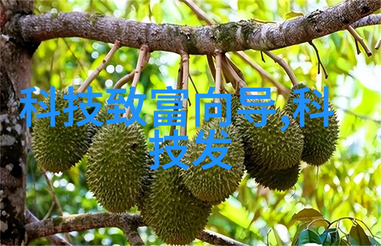 九重疑云揭开水质检测的神秘面纱