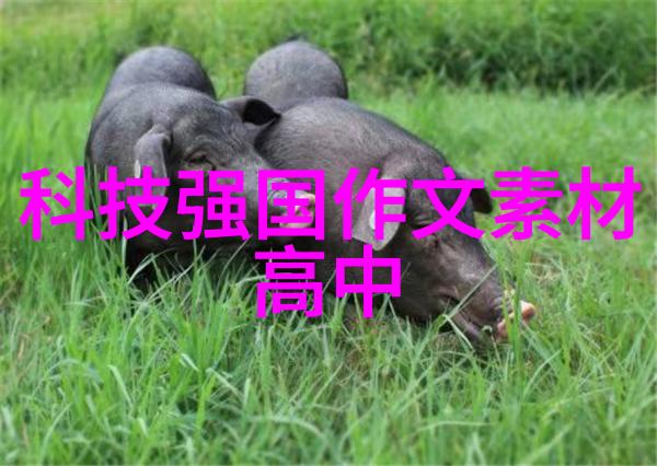 电子梦想中关村手机频道的辉煌历程