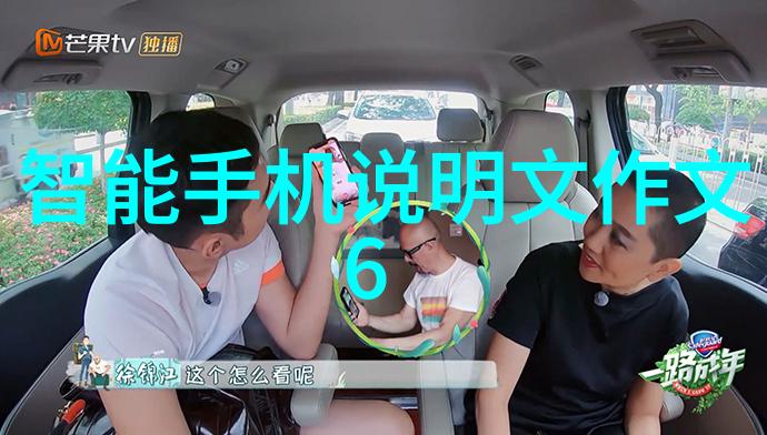 国模燕子中国优秀的燕子模型