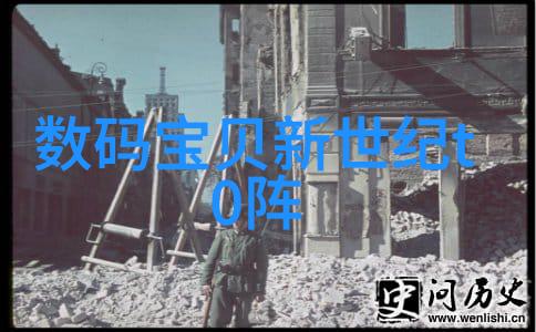 王媛张刚爱情故事全文免费阅读txt下载揭秘两人浪漫轶事