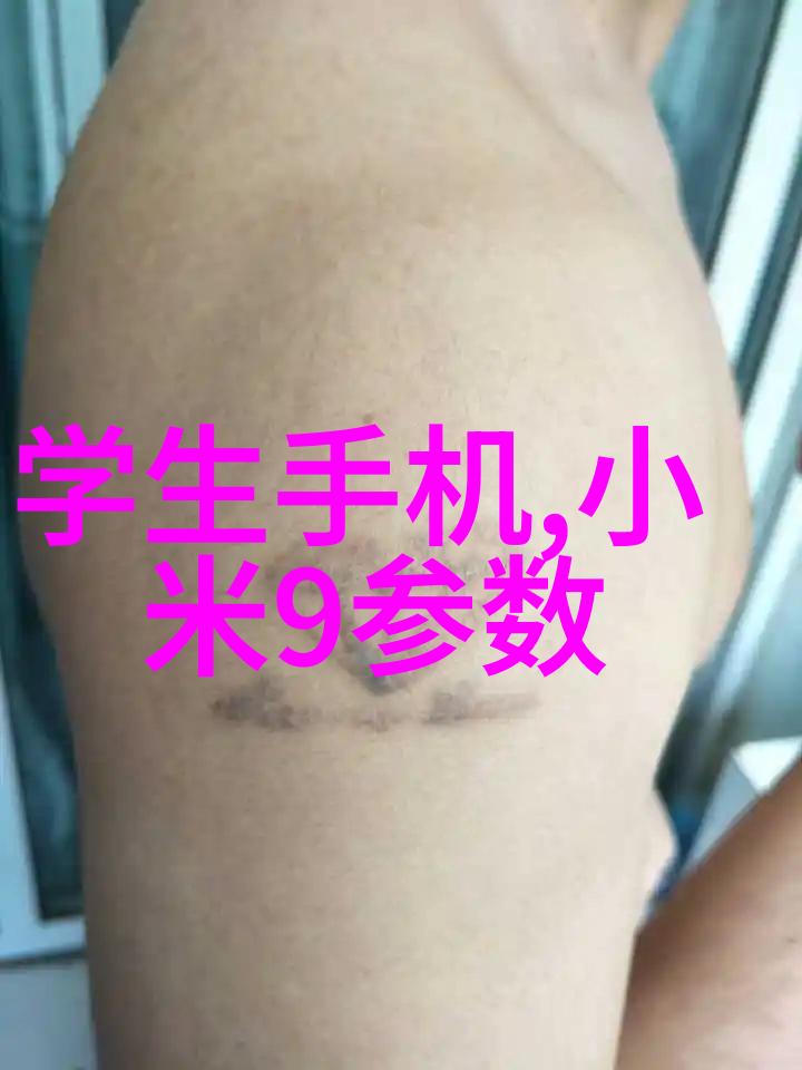化学实验室中的关键组件揭秘发生装置与反应装置的功能与操作