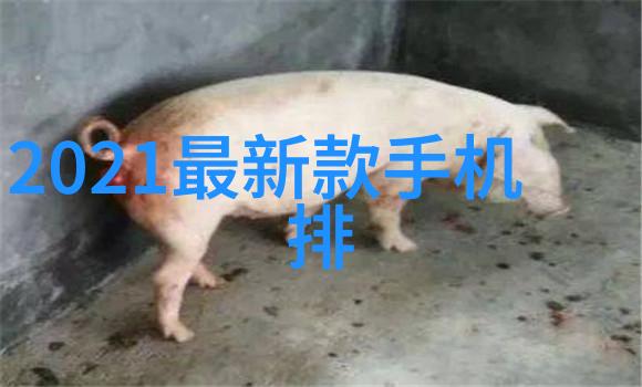 全程不盖被子打扑克的视频大全我这就给你找来点超级有趣的