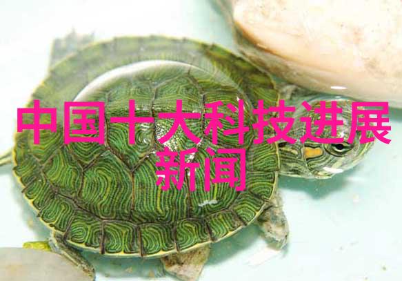 不锈钢创意手工DIY不锈钢装饰品