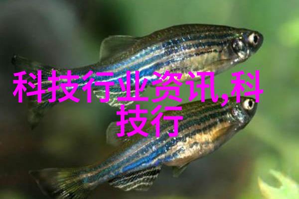 人工智能是青春饭专业吗- 创新时代的职业选择与机遇
