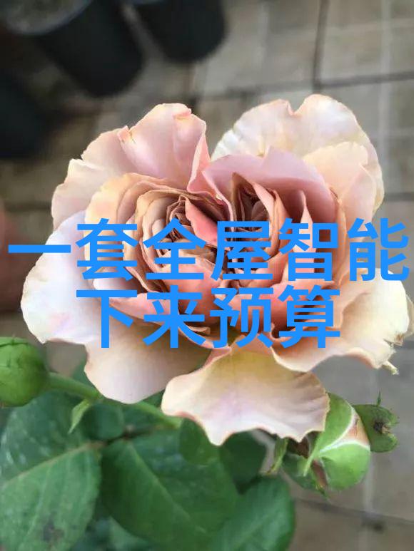 工程材料-探索Pert管材性能特性与应用概述